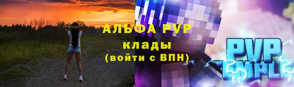 СК Бородино