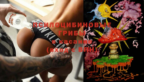 СК Бородино