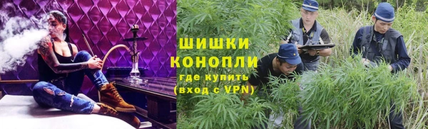 СК Бородино